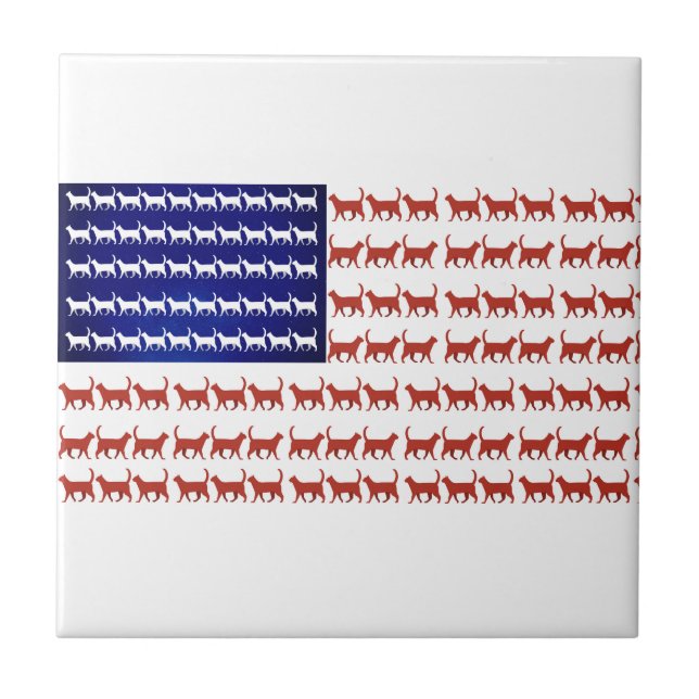 Carreau Chats américains décor patriotique (Devant)