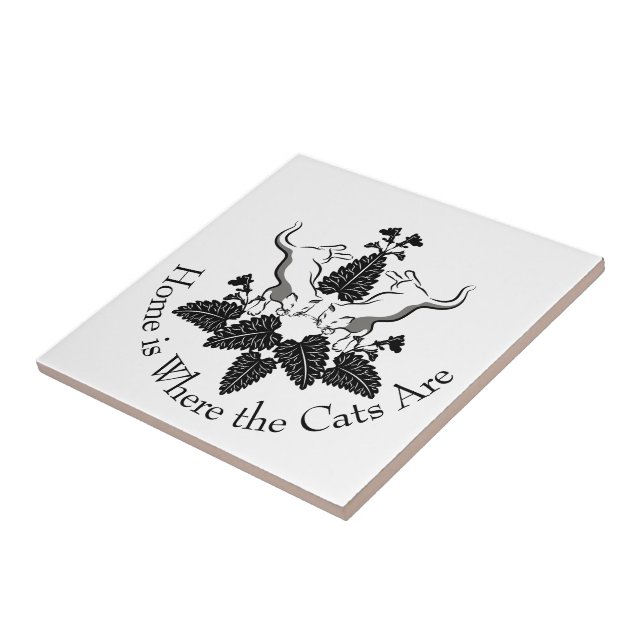 Carreau Chats et silhouette graphique de la capture (Côté)