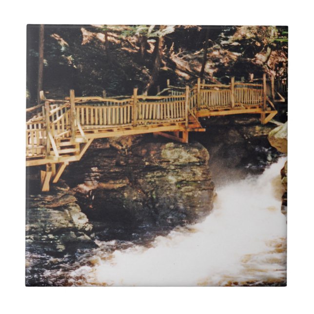 Carreau Chemin dangereux (Devant)