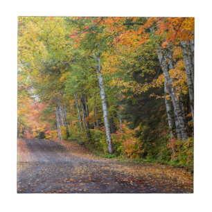 Carreau Chemin De Gravel Flâné De Feuilles Avec Couleur D'