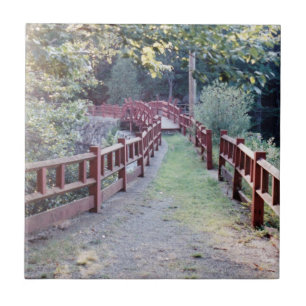 Carreau Chemin inconnu