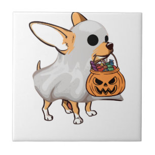 Carreau Chemise Halloween Citrouille Fantôme Chihuahua