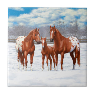 Carreau Chestnut Appaloosa Sorrel Quarter Chevaux en Neige