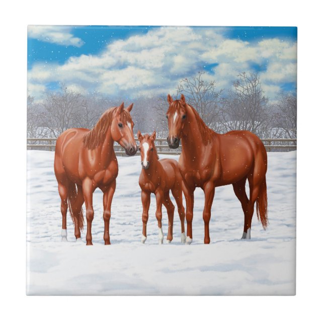 Carreau Chestnut Sorrel Quarter Chevaux En Neige (Devant)