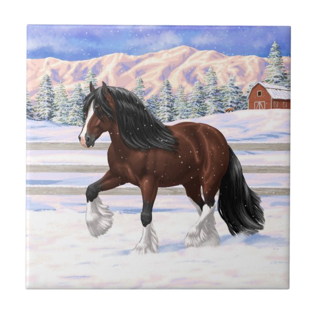 Carreau Cheval À Repasser De La Vannière Tzigane De Baie B (Devant)