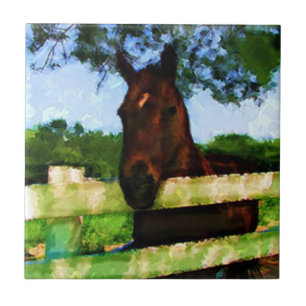 Carreau Cheval amical