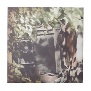 Carreau Cheval Amish