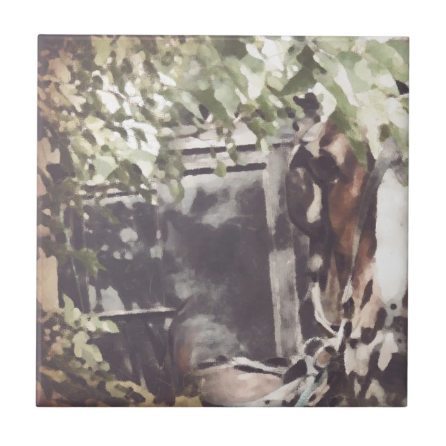 Carreau Cheval Amish (Devant)