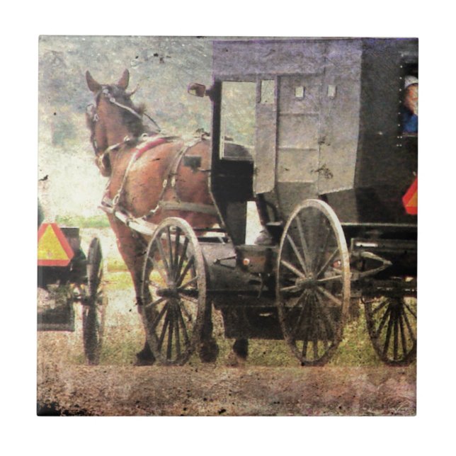 Carreau Cheval Amish et Buggy (Devant)