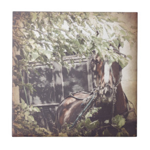 Carreau Cheval Amish et Buggy à l'ombre