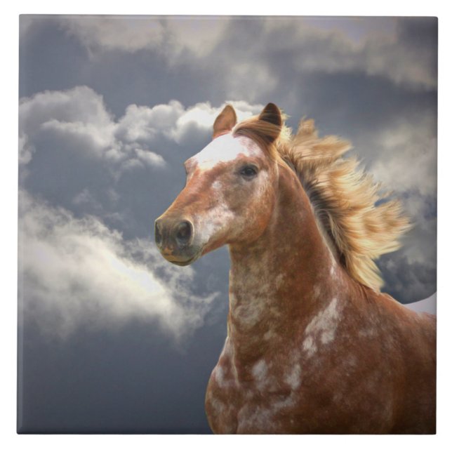 Carreau Cheval Appaloosa et nuages (Devant)