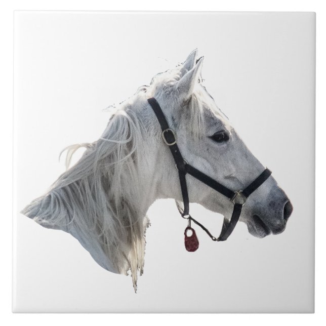 Carreau Cheval Blanc (Devant)