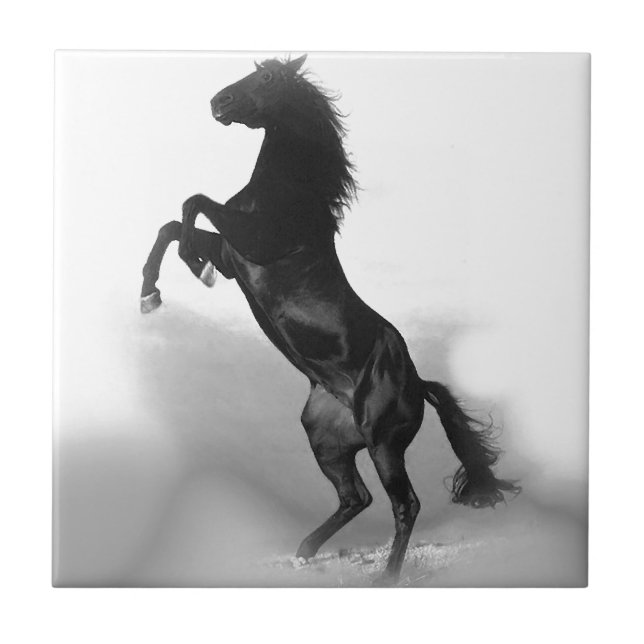 Carreau Cheval blanc noir (Devant)