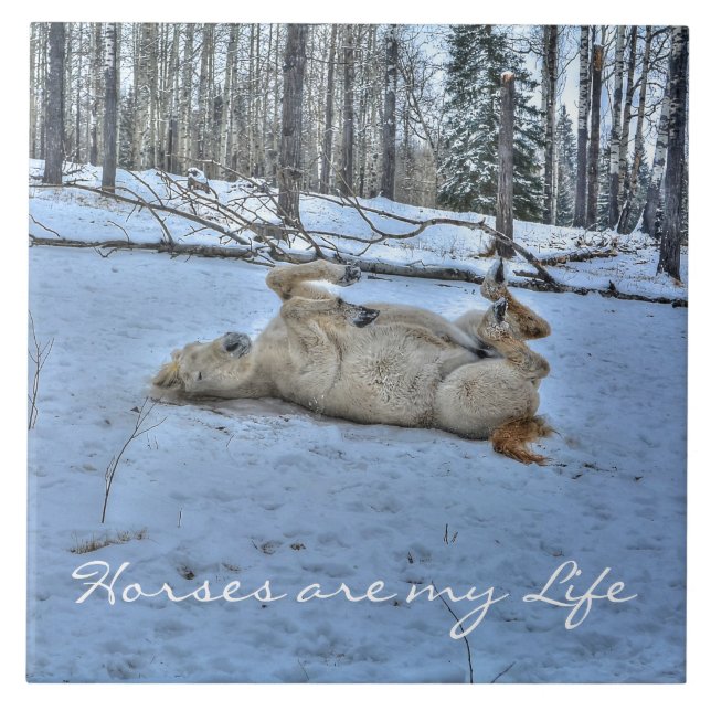 Carreau Cheval blanc rouler dans la neige hivernale (Devant)