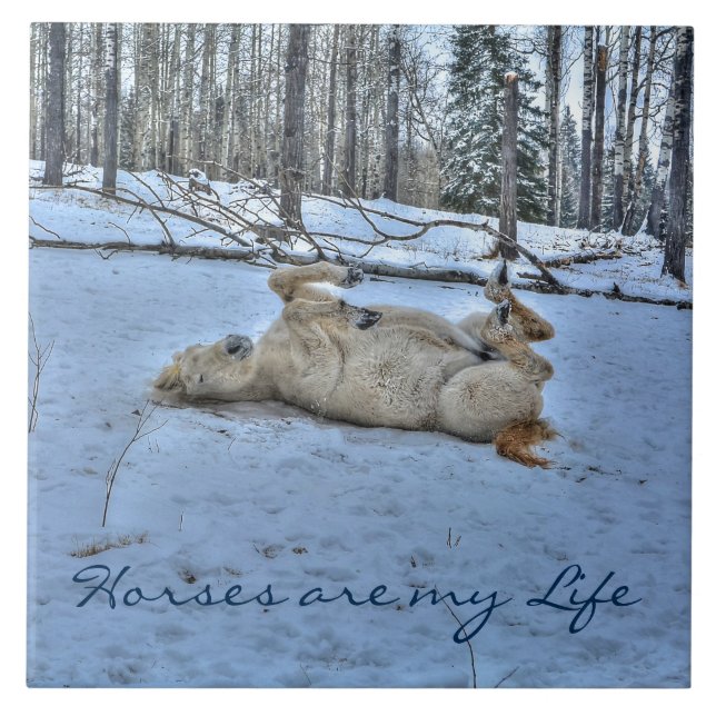 Carreau Cheval blanc rouler dans la neige hivernale (Devant)