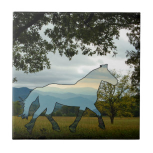 Carreau Cheval Blue Ridge