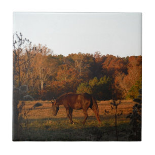 Carreau Cheval Brown rouge, bois d'automne.