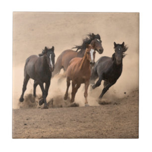 Carreau Cheval dans l'automne II