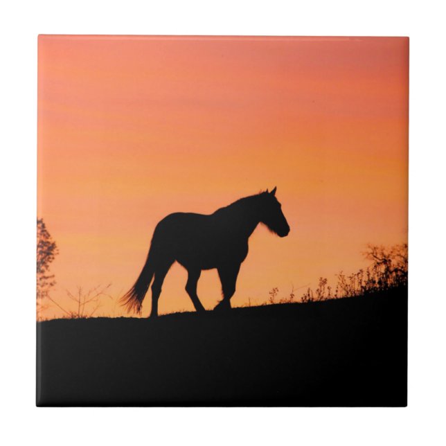 Carreau Cheval dans Sunrise Sud-Ouest (Devant)