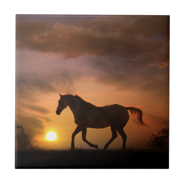 Carreau Cheval de course dans Sunrise Art Tile (Devant)