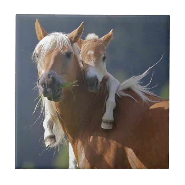 Carreau Cheval de mère et de bébé (Devant)