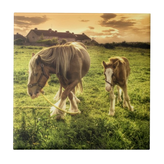 Carreau Cheval de mère et de poulain (Devant)