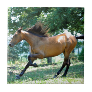 Carreau Cheval de Morgan de peau de daim