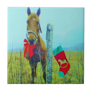 Carreau Cheval de Noël Brown