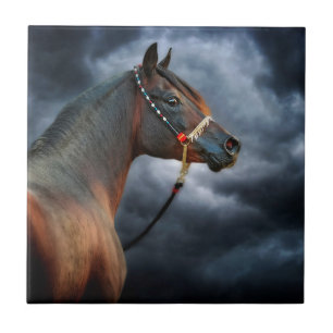 Carreau Cheval de nuit