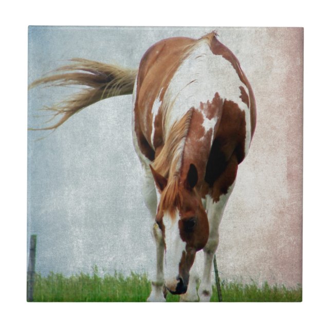 Carreau Cheval de peinture clinquant Mare (Devant)