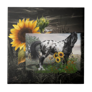 Carreau Cheval des tournesols et Appaloosa