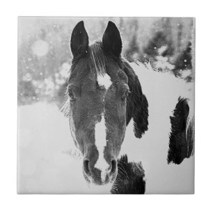 Carreau Cheval d'hiver B&W Carrelage en céramique