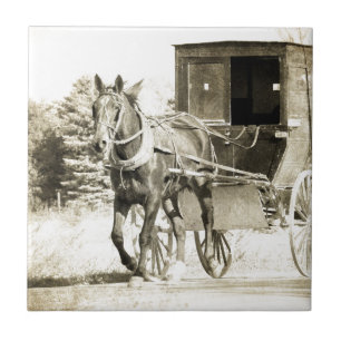 Carreau Cheval et Buggy Sepia
