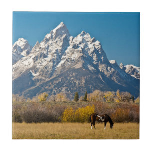 Carreau Cheval et Grand Tetons, Ranch Moose Head