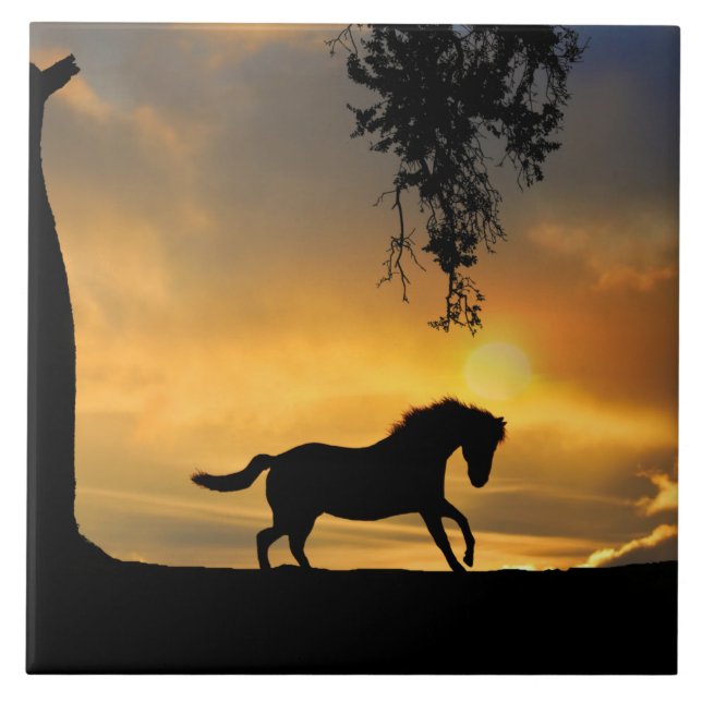 Carreau Cheval et Sunset Sud-Ouest Beau (Devant)