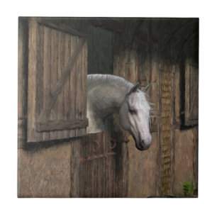Carreau Cheval gris à la porte stable