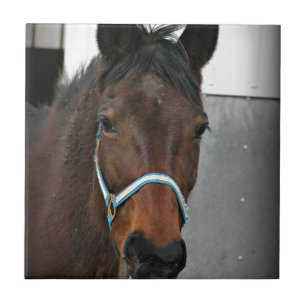 Carreau cheval heureux