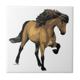 Carreau Cheval islandais Nouvelle Vogue Buckskin