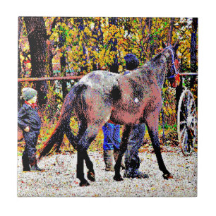 Carreau Cheval New Amish 8 bits