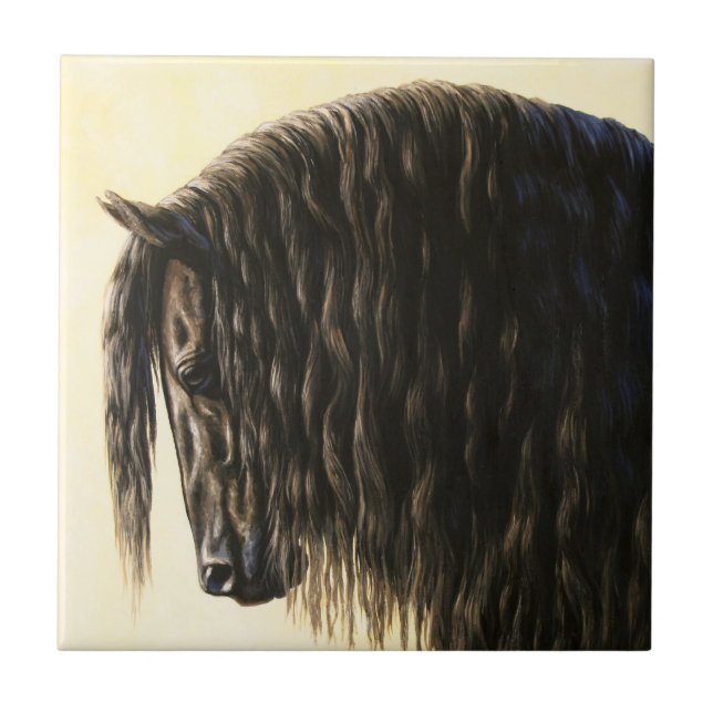Carreau Cheval noir Friésien (Devant)