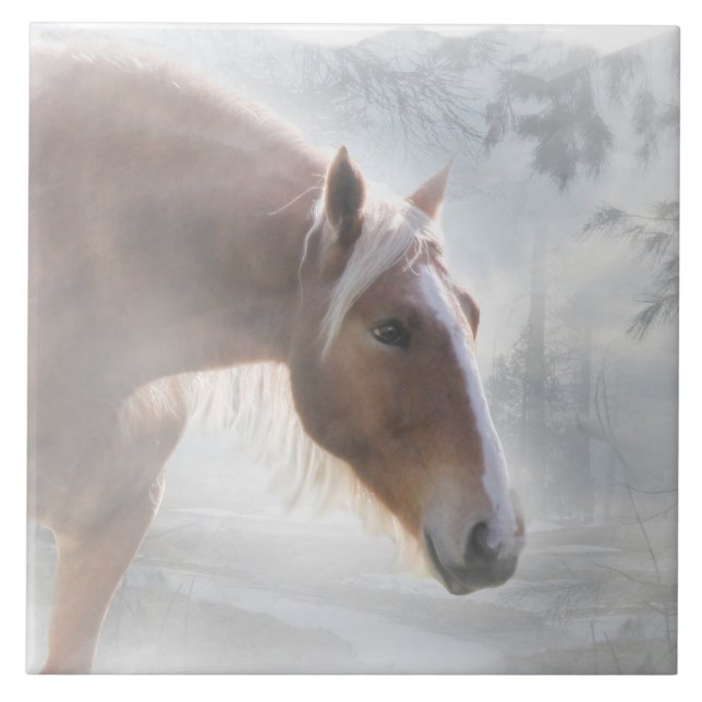Carreau Cheval Palomino En Pile De Vacances (Devant)