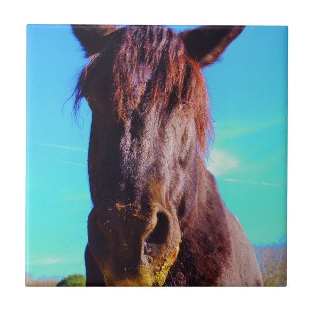 Carreau Cheval pourpre avec Bouche verte (Devant)