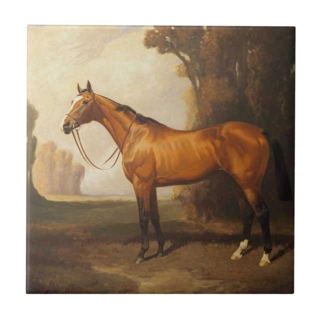 Carreau Cheval vintage Brown Thoroughbred (Devant)