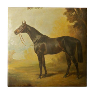 Carreau Cheval vintage de pur sang