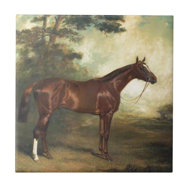 Carreau Cheval vintage Thoroughbred (Devant)