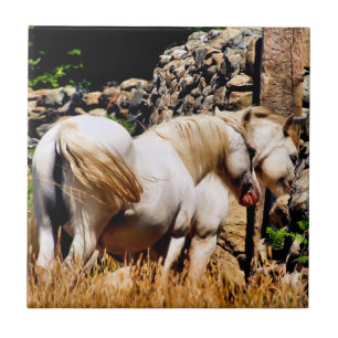 CARREAU CHEVAUX