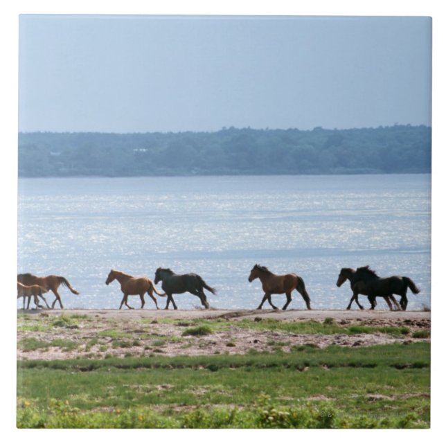 Carreau Chevaux (Devant)
