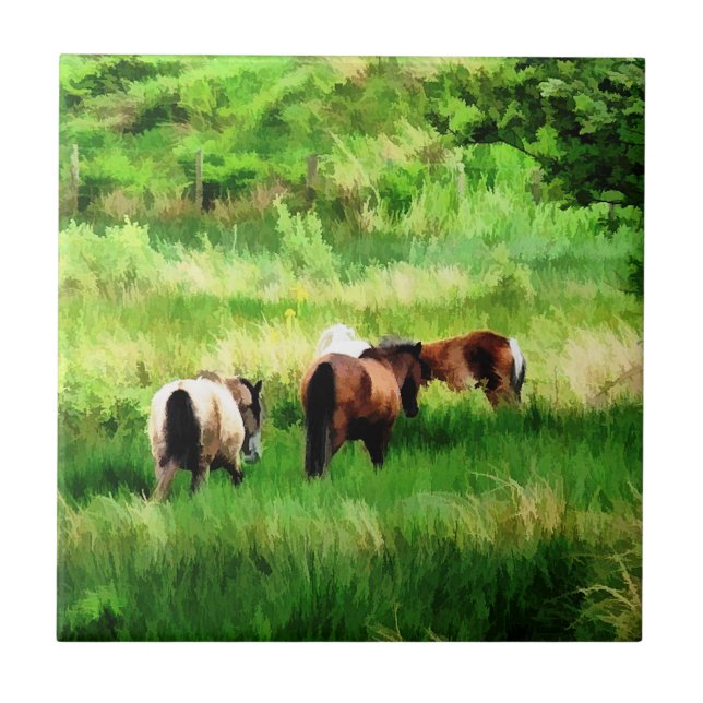 CARREAU CHEVAUX (Devant)