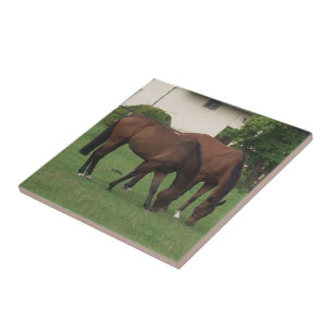 Carreau Chevaux