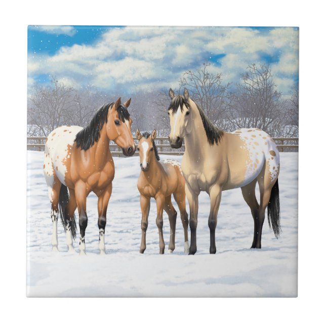 Carreau Chevaux Appaloosa En Peau De Bouche En Neige (Devant)